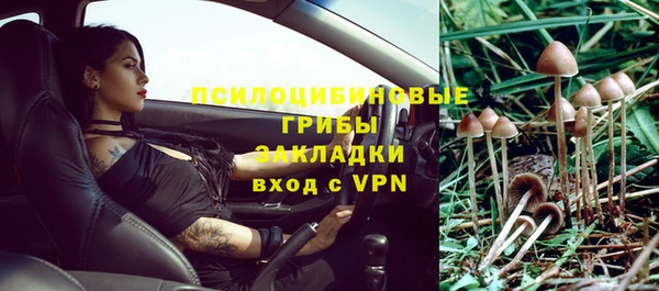 прущая мука Алзамай