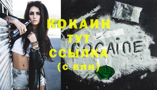 mix Ельня